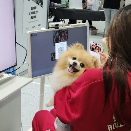 Goods Product Grid Card Image