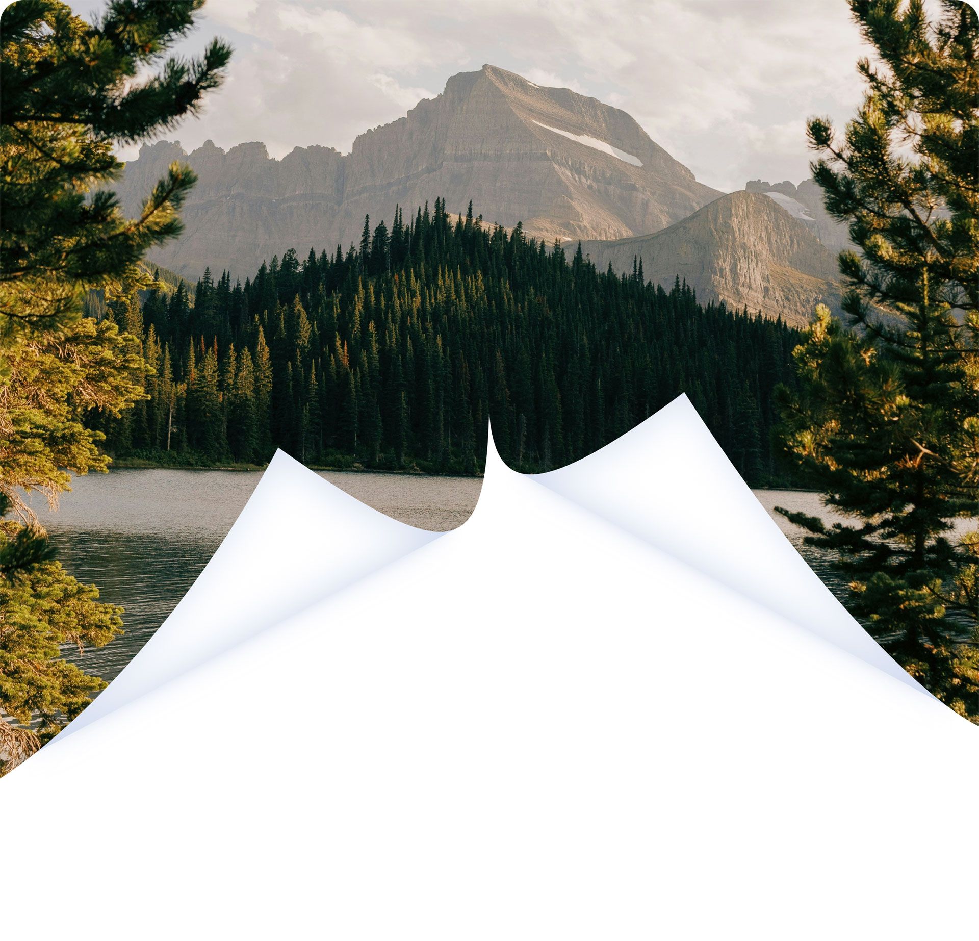 Goods Guides Background Image